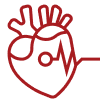 Cardiology