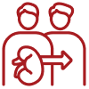 Kidney Transplant
