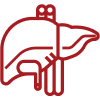 Liver Transplant